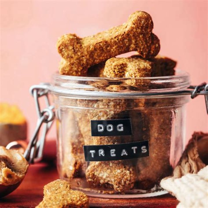 13 best dog treats in 2024, according to pet experts