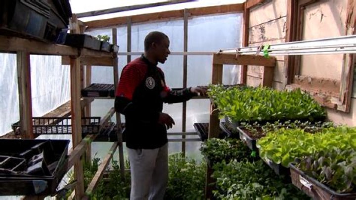 Boise Global Gardens looks forward to upcoming year, after a difficult 2020