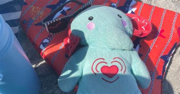 Grieving mom searching for stuffed elephant holding son’s ashes after it disappears during Disney trip